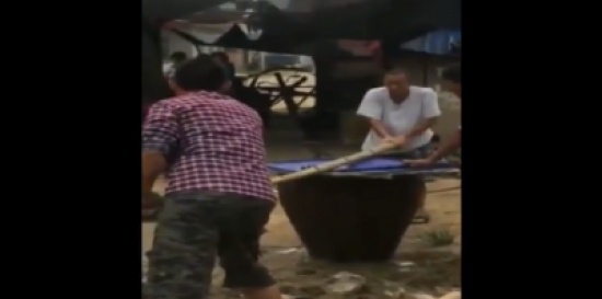 بالفيديو : صينيون يسلقون كلبا حيا أمام الكاميرا