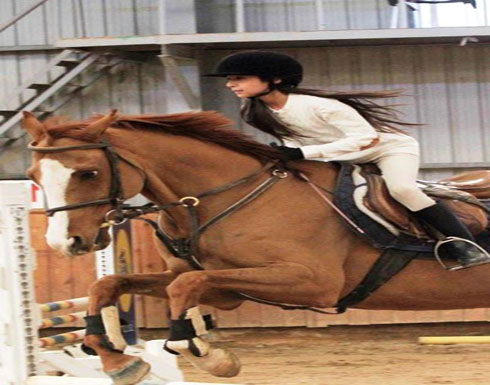 اختتام الجولة الرابعة لفروسية القفز عن الحواجز