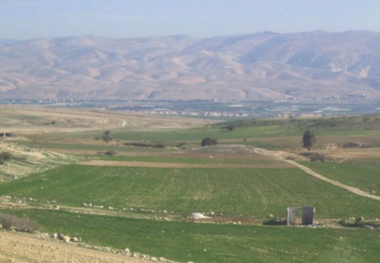 سلطة وادي الاردن تزيد ساعات الري في الاغوار بسبب موجة الحر سلطة وادي الاردن تزيد ساعات الري في الاغوار بسبب موجة الحر