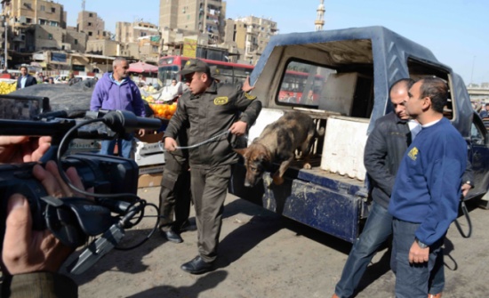 مصر : اعتقال تاجر فحم اردني بحملة ضد " ارهابيين " مصر : اعتقال تاجر فحم اردني بحملة ضد " ارهابيين "