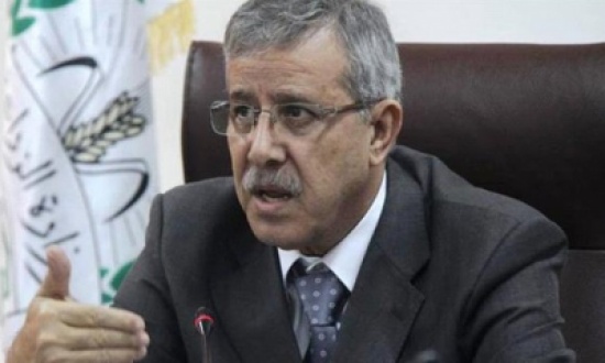 وزير الزراعة يفتتح مهرجان السوسنة السوداء في البترا