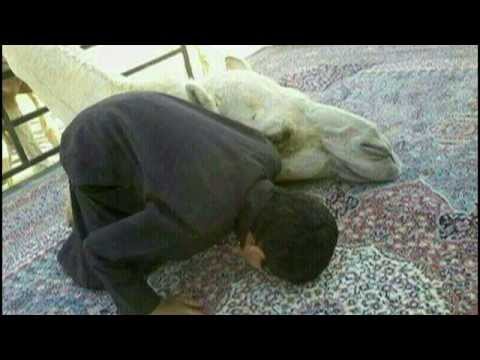 معجزات الله في خلقه سبحان الله لن تصدق ما سترى والله سوف تذهل " فيديو "