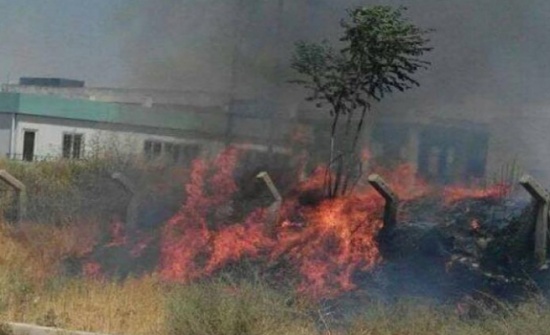خطة للحد من حرائق الغابات في الكورة