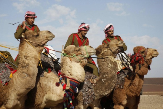 ضبط شاحنة تحمل مواد مهربة على الطريق الصحراوي ضبط شاحنة تحمل مواد مهربة على الطريق الصحراوي