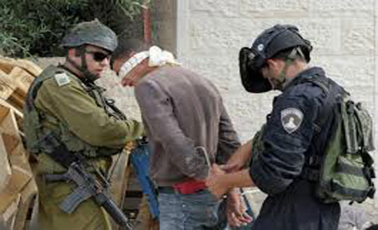 عشرات المستوطنين يقتحمون الاقصى والاحتلال يعتقل 13 فلسطينيا بالضفة عشرات المستوطنين يقتحمون الاقصى والاحتلال يعتقل 13 فلسطينيا بالضفة