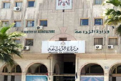 افتتاح المعرض الأردني الرابع والمسابقة الثانية لطيور الزينة في المملكة