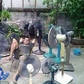 بالصور.. طرق طريفة للهروب من ارتفاع درجة الحرارة