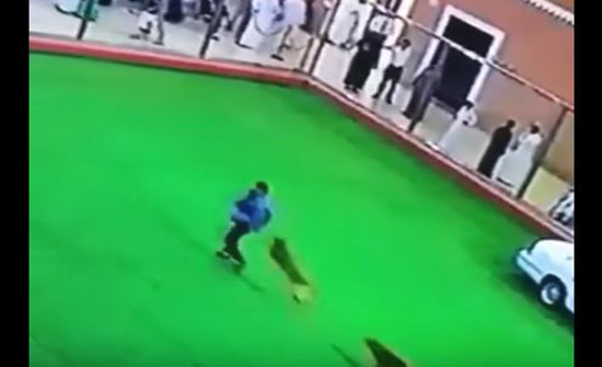 لحظة هجوم كلب على رجل في أحد عروض مهرجان الجنادرية بالسعودية (فيديو) لحظة هجوم كلب على رجل في أحد عروض مهرجان الجنادرية بالسعودية (فيديو)