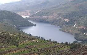 حملة شاملة لمكافحة الذباب المنزلي بوادي الاردن