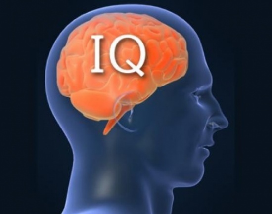 هل ارتفع أم انخفض الذكاء الانساني خلال 100 عام؟ هل ارتفع أم انخفض الذكاء الانساني خلال 100 عام؟