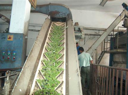 وزيرا البيئة والزراعة يبحثان مشاكل معاصر الزيتون البيئية