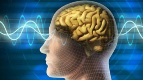 علماء يكتشفون طريقة لتشغيل الدماغ وتعطيله علماء يكتشفون طريقة لتشغيل الدماغ وتعطيله