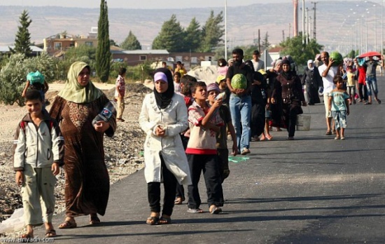 444 لاجئا سوريا خلال الـ 72 ساعة الماضية 444 لاجئا سوريا خلال الـ 72 ساعة الماضية