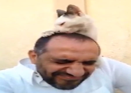 قصة وفاء قطة