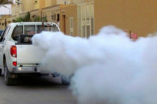 مكافحة البعوض تواصل حملاتها في أحياء عمان مكافحة البعوض تواصل حملاتها في أحياء عمان
