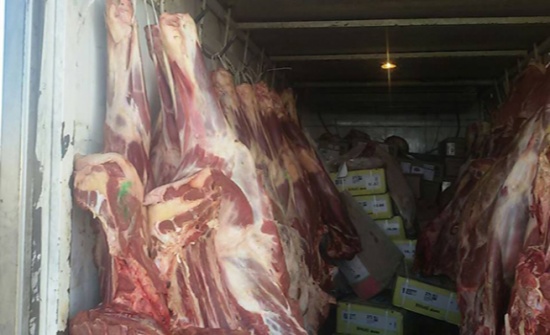 بالصور: ضبط لحوم فاسدة في معان