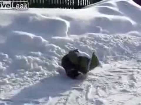 قرد أول مرة يشوف الثلج!!