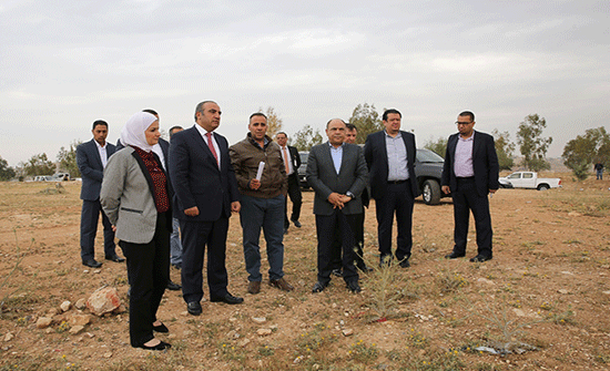 الشواربه يؤكد سعي الأمانة لتعزيز المساحات الخضراء شرق العاصمة