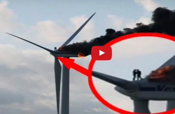 بالفيديو  : صور تروي قصصاً مروعة