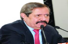 الكركي عضوا عاملا في مجمع القاهرة الكركي عضوا عاملا في مجمع القاهرة
