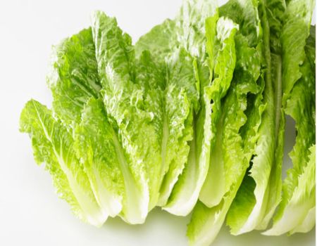 واجهوا خطر حروق الشمس بـ " أوراق الخس "