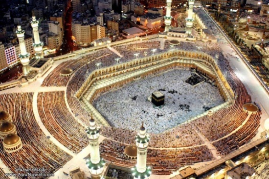 ”ونش” لتصعيد أضخم حاجَّة تزن 286 كيلو جرامًا إلى عرفات