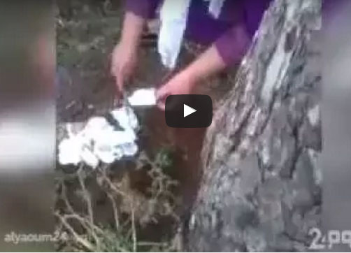 بالفيديو: العثور على "سحر" لزوجين في زفافهما