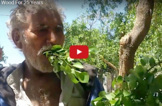 شاهد: مسن باكستاني يعيش على تناول أوراق الشجر والأخشاب