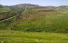 إرادة ينفذ جلسات تدريبية في ألوية الكورة والطيبة والمزار الشمالي إرادة ينفذ جلسات تدريبية في ألوية الكورة والطيبة والمزار الشمالي