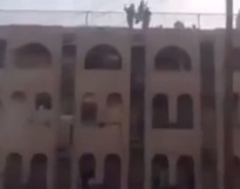 داعش يلقي بالمقاتلين الاكراد من أعلى البنايات في " كوباني - عين العرب " داعش يلقي بالمقاتلين الاكراد من أعلى البنايات في " كوباني - عين العرب "