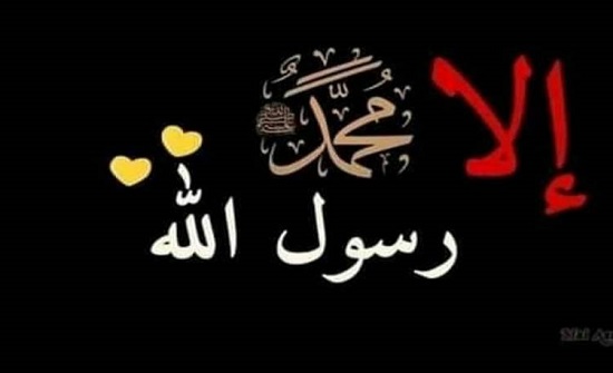 قاضي القضاة : الاستهزاء بمشاعر مئات الملايين من المسلمين جريمة مدانة قاضي القضاة : الاستهزاء بمشاعر مئات الملايين من المسلمين جريمة مدانة