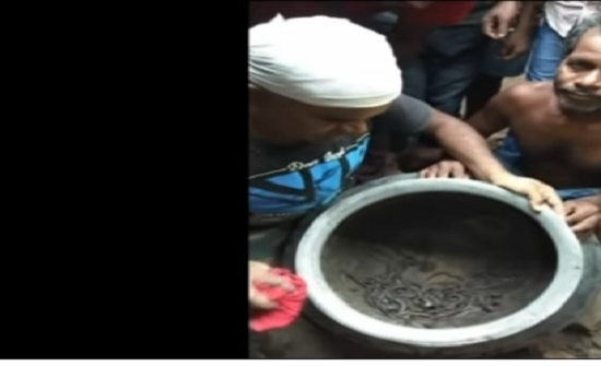 بالفيديو: عائلة تعثر على 111 ثعبان كوبرا داخل منزلها