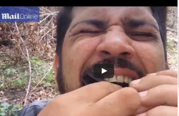 شاهد.. رجل يضع خفاشين داخل فمه