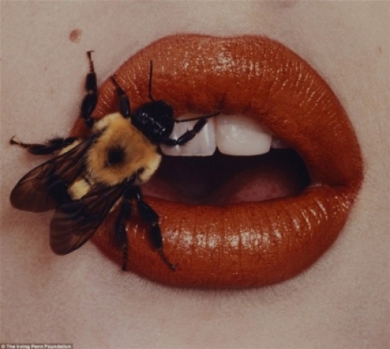 18 صورة لم تشاهدها من قبل لـمصور الموضة «إيرفينج بن» 18 صورة لم تشاهدها من قبل لـمصور الموضة «إيرفينج بن»