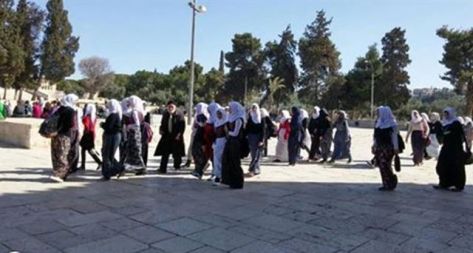 توتر في الاقصى اثر تطاول شرطي للاحتلال على نبي الأكرم توتر في الاقصى اثر تطاول شرطي للاحتلال على نبي الأكرم