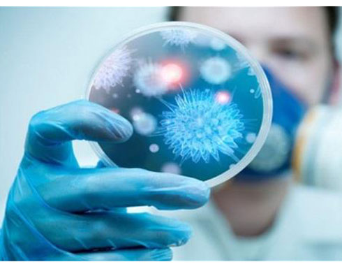 منظمة الصحة: فيروس كورونا لا يستلزم إعلان حالة طوارئ عالمية