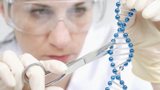 العلماء يسعون إلى وقف اختبارات تعديل الجينوم البشري لأسباب أخلاقية