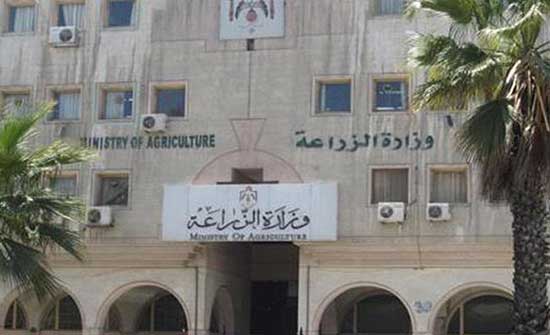 منع دخول 462 طنا من المنتجات الزراعية الى الاردن