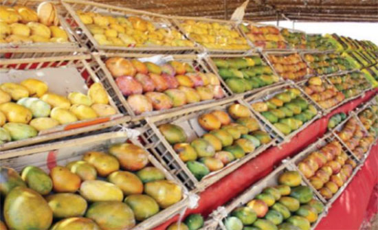 استيراد الخضار الإسرائيلية في انخفاض