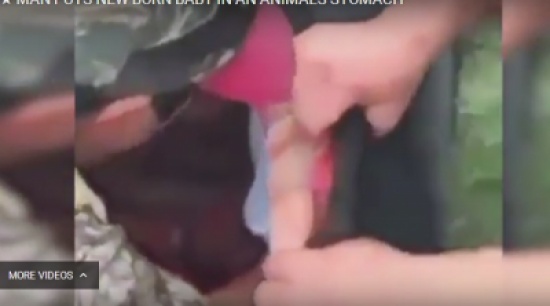 فيديو| رجل يضع مولوداً في بطن حيوان ميت.. وهذا ما حدث! فيديو| رجل يضع مولوداً في بطن حيوان ميت.. وهذا ما حدث!