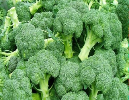 دراسة: القرنبيط الأخضر يخفض مستوى الكوليسترول في الدم