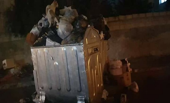 اطلاق مبادرة شبابية شعبية لجمع النفايات في الأغوار الجنوبية اطلاق مبادرة شبابية شعبية لجمع النفايات في الأغوار الجنوبية