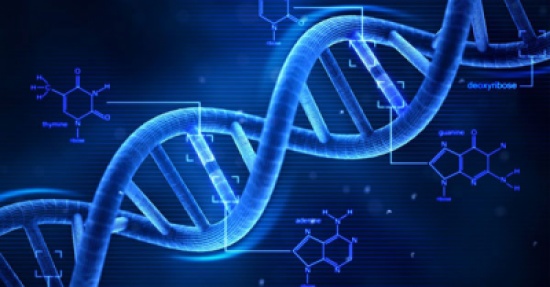 دعوات لاعتماد فحص DNA لإثبات نسب الأطفال دعوات لاعتماد فحص DNA لإثبات نسب الأطفال
