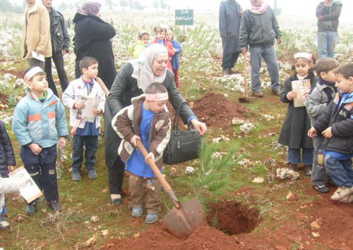 الكرك تحتفي بعيد الشجرة في غابة اليوبيل الكرك تحتفي بعيد الشجرة في غابة اليوبيل