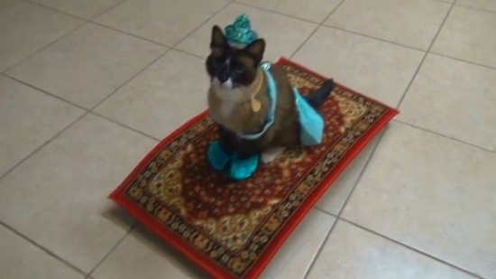 أميرة جديدة لعلاء الدين تحلق على بساط الريح