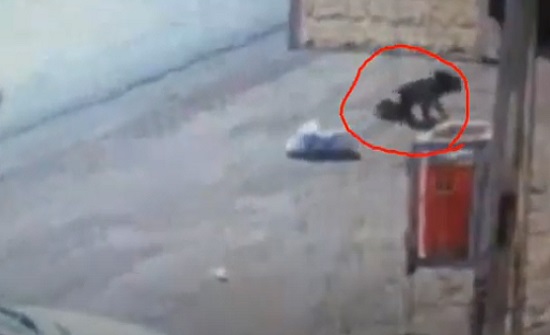 فيديو : العناية الالهية تنقذ طفلا يمنيا من الموت المحقق