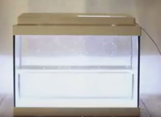 فيديو: كيف تذوب أقراص الدواء داخل المعدة