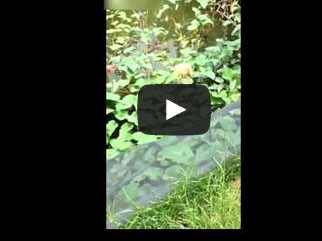 طريقة جديدة لصيد السمك