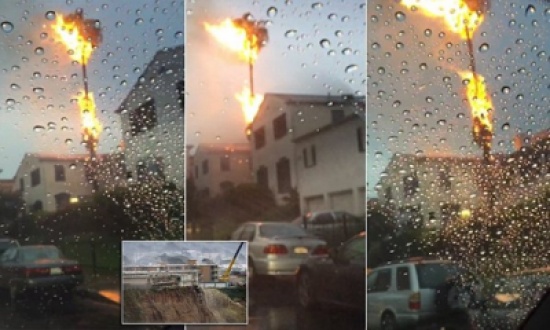 فيديو: لحظة اشتعال نخلة ضربها البرق