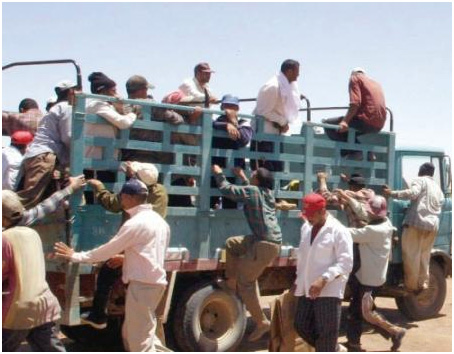 عطاءات النقل الحضري لمحافظة إربد